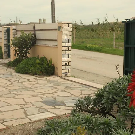 Tribo Da Praia - Almagreira Surf *